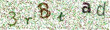 Beeld-CAPTCHA