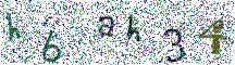 Beeld-CAPTCHA