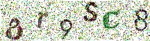 Beeld-CAPTCHA