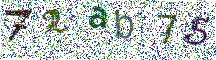 Beeld-CAPTCHA