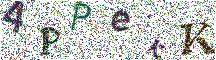Beeld-CAPTCHA