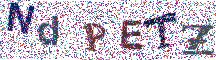 Beeld-CAPTCHA