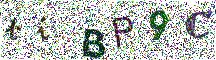 Beeld-CAPTCHA