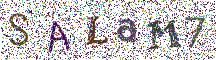 Beeld-CAPTCHA