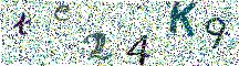 Beeld-CAPTCHA
