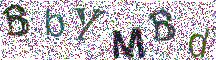 Beeld-CAPTCHA