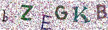 Beeld-CAPTCHA