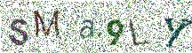Beeld-CAPTCHA