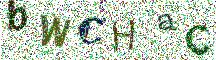 Beeld-CAPTCHA