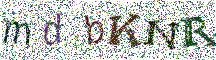Beeld-CAPTCHA