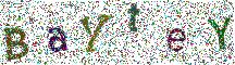 Beeld-CAPTCHA