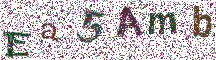 Beeld-CAPTCHA