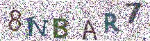 Beeld-CAPTCHA