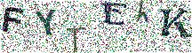 Beeld-CAPTCHA
