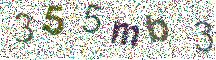 Beeld-CAPTCHA