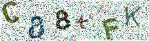 Beeld-CAPTCHA