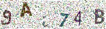 Beeld-CAPTCHA