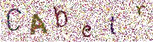 Beeld-CAPTCHA
