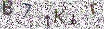 Beeld-CAPTCHA
