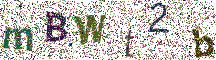 Beeld-CAPTCHA