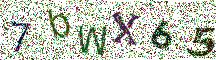 Beeld-CAPTCHA