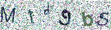 Beeld-CAPTCHA