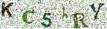 Beeld-CAPTCHA