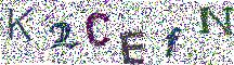 Beeld-CAPTCHA
