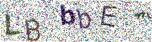 Beeld-CAPTCHA
