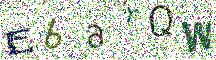 Beeld-CAPTCHA