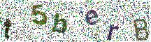 Beeld-CAPTCHA