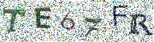 Beeld-CAPTCHA