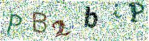 Beeld-CAPTCHA