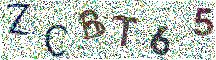 Beeld-CAPTCHA