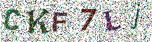 Beeld-CAPTCHA