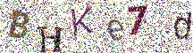 Beeld-CAPTCHA