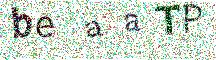 Beeld-CAPTCHA