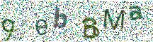Beeld-CAPTCHA