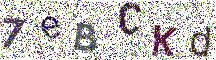 Beeld-CAPTCHA