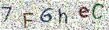 Beeld-CAPTCHA