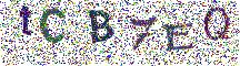 Beeld-CAPTCHA