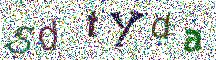 Beeld-CAPTCHA