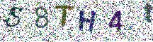 Beeld-CAPTCHA