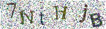 Beeld-CAPTCHA