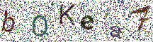 Beeld-CAPTCHA