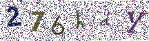 Beeld-CAPTCHA
