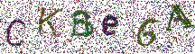 Beeld-CAPTCHA