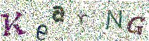 Beeld-CAPTCHA