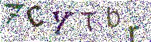 Beeld-CAPTCHA
