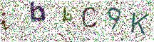 Beeld-CAPTCHA